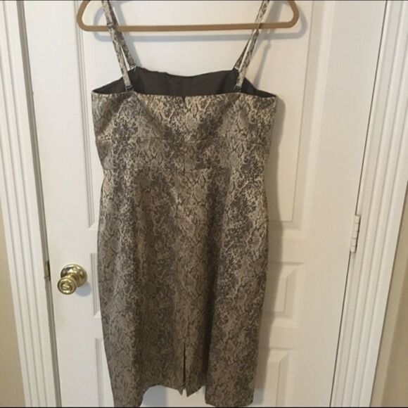 Antonio Melani Dress  - Picture 3 of 4